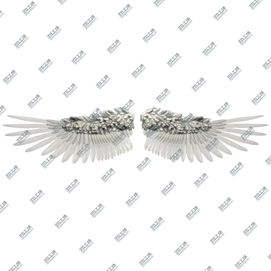 images/goods_img/2021040233/3D Angel Wings/1.jpg